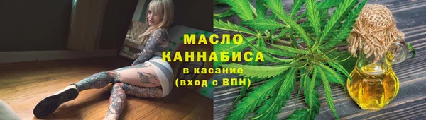 дмт Алексин