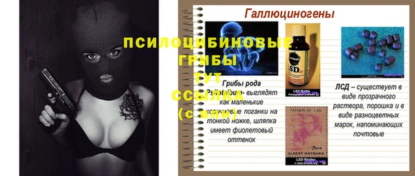 дмт Алексин