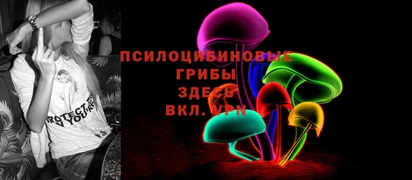 гидра Алексеевка