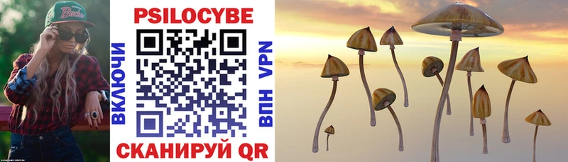 shop формула  Иваново  Псилоцибиновые грибы Psilocybe  хочу наркоту 
